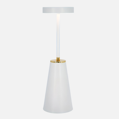 Portable LED Desk Light