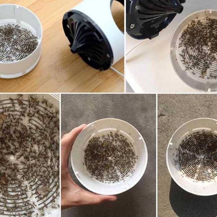 Quiet Electronic Insect Trap with Powerful Suction