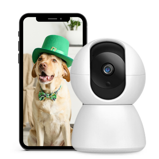 Befez Pet Monitoring Wi-Fi Camera - Befez