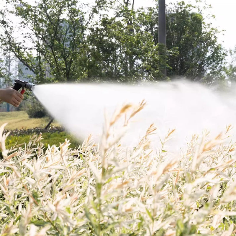Powerful Electric Spray Gun
