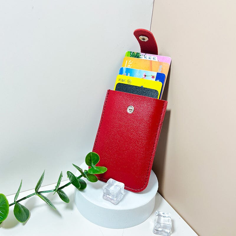 Compact Travel Passport Card Holder