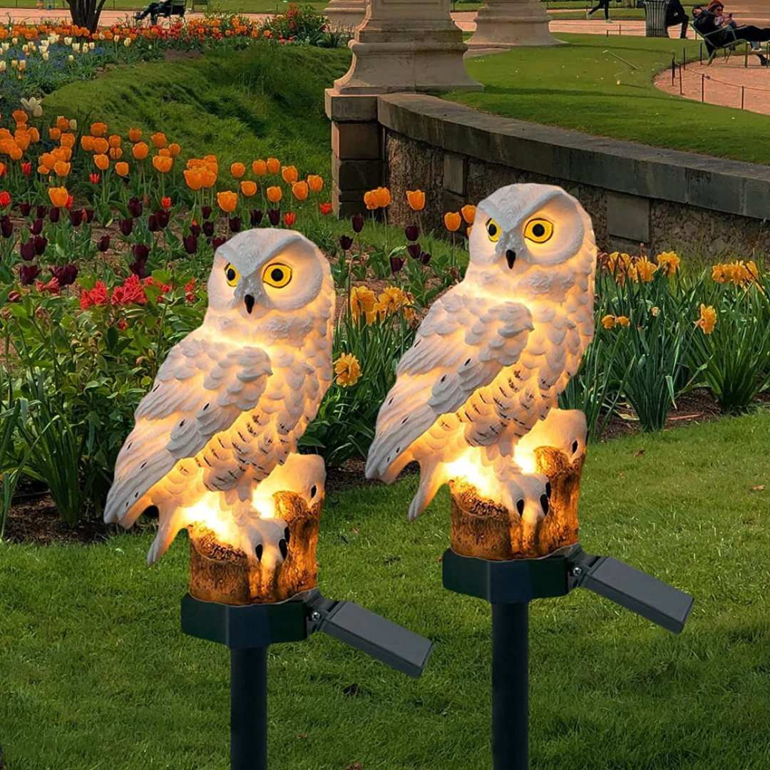 Befez | Outdoor Solar Powered Owl Light - Befez