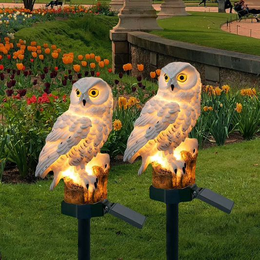 Befez | Outdoor Solar Powered Owl Light - Befez