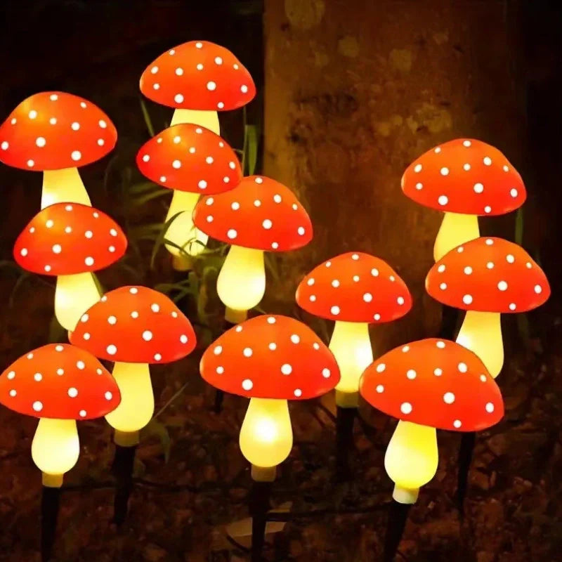 Befez | Bright Outdoor Solar Powered Lights