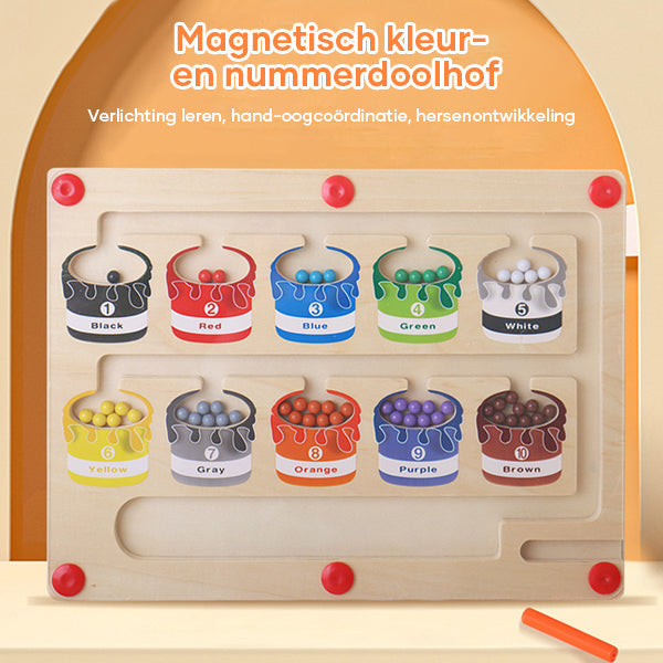 Fun Learning Magnet Board Toy