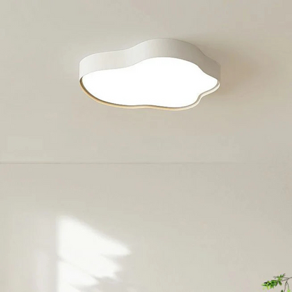 Modern Bright Overhead Light