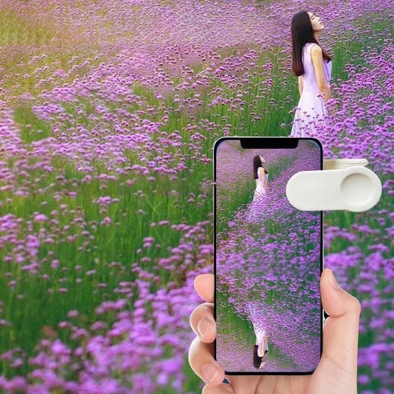 Easy Use Camera for Perfect Photos