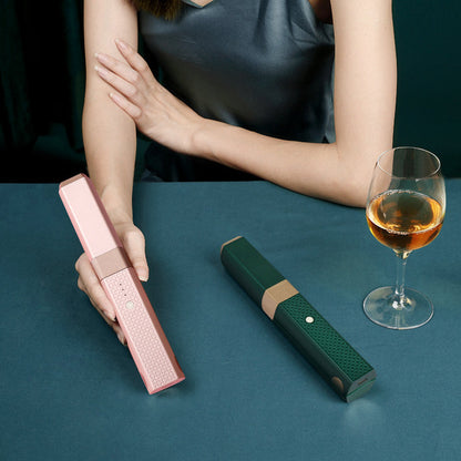 Compact Travel Hair Straightener with USB Charger