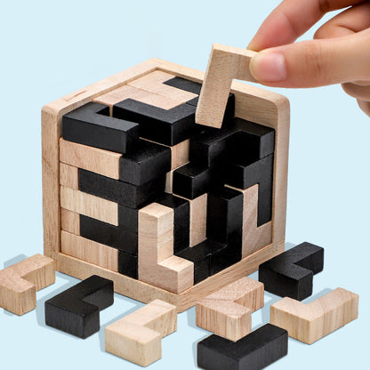Classic Wooden Puzzle Brain Game