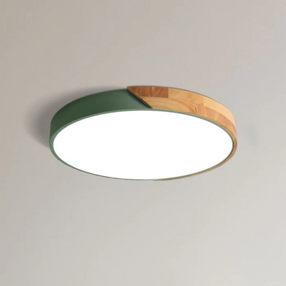 Modern Nordic LED Ceiling Light