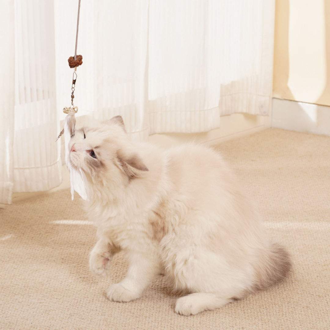 Fun Interactive Cat Toy Treat Dispenser
