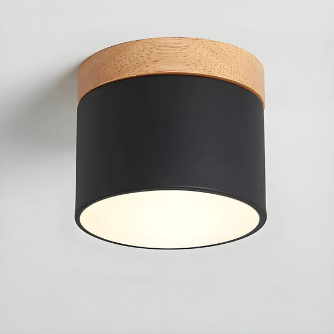 Classic Retro Style LED Light Fixture