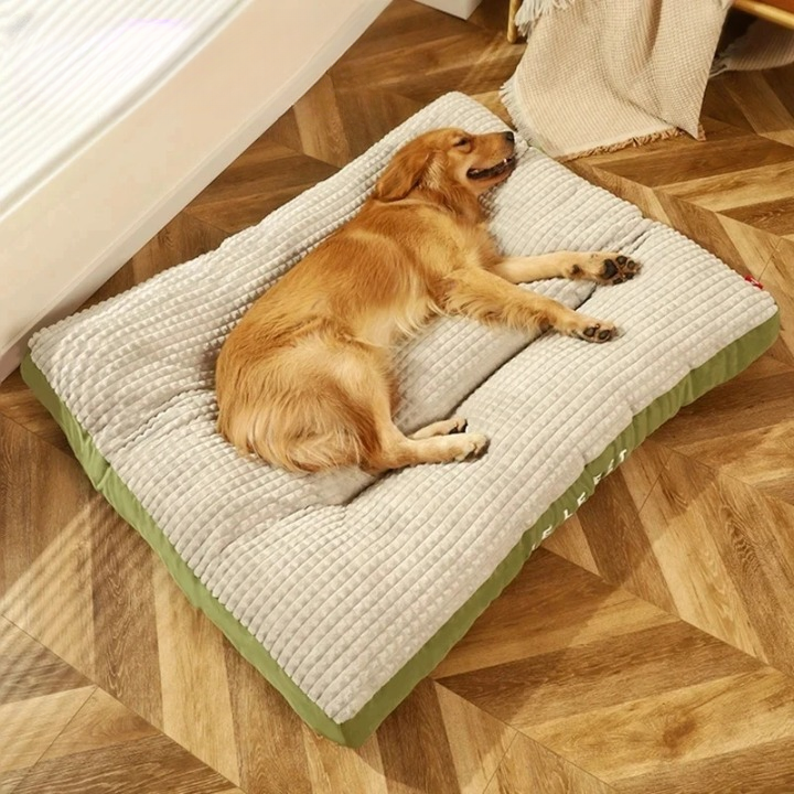 Orthopedic Dog Bed - Firm Foam, Washable Cover