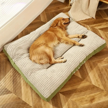Orthopedic Dog Bed - Firm Foam, Washable Cover