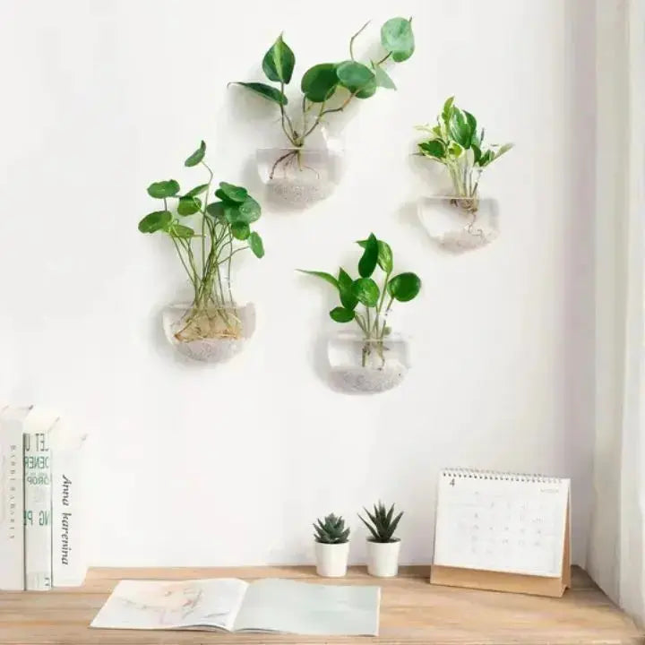 Stylish Wall Art WonderGlass for Modern Homes