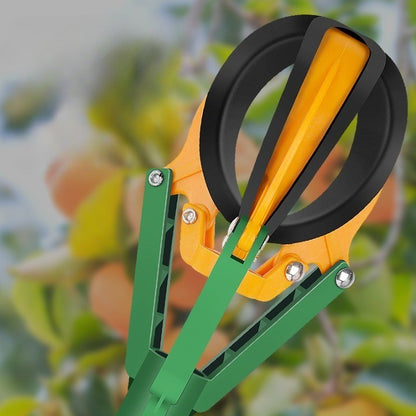 Befez | Long Reach Folding Fruit Picker Tool