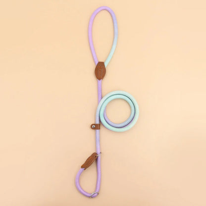 Vibrant Pet Leash for Stylish Dog Walking