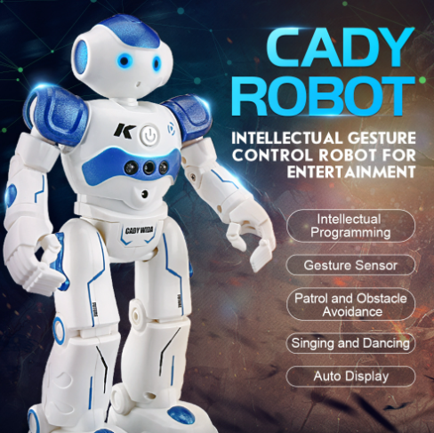 Smart RC Robot Toy - Befez