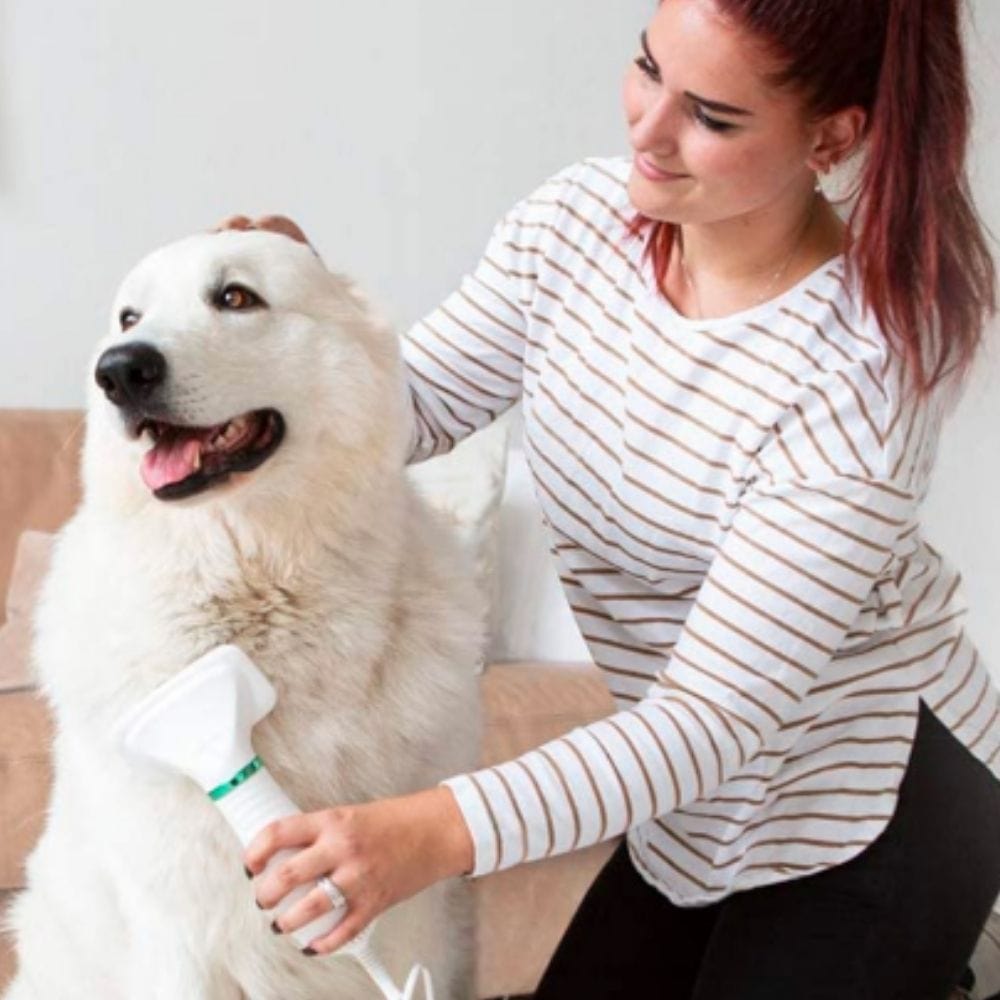 Pet Dryer & Grooming Kit