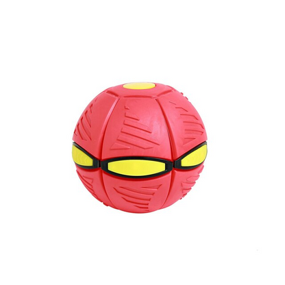 Fun Interactive Bouncy Ball Toy