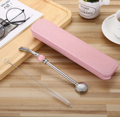 Premium Metal Straws with Filter & Cleaning Kit