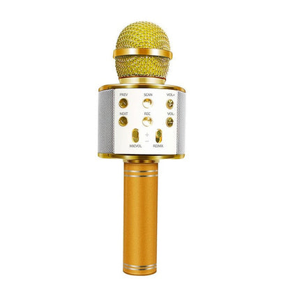 Portable Wireless Karaoke Microphone Speaker