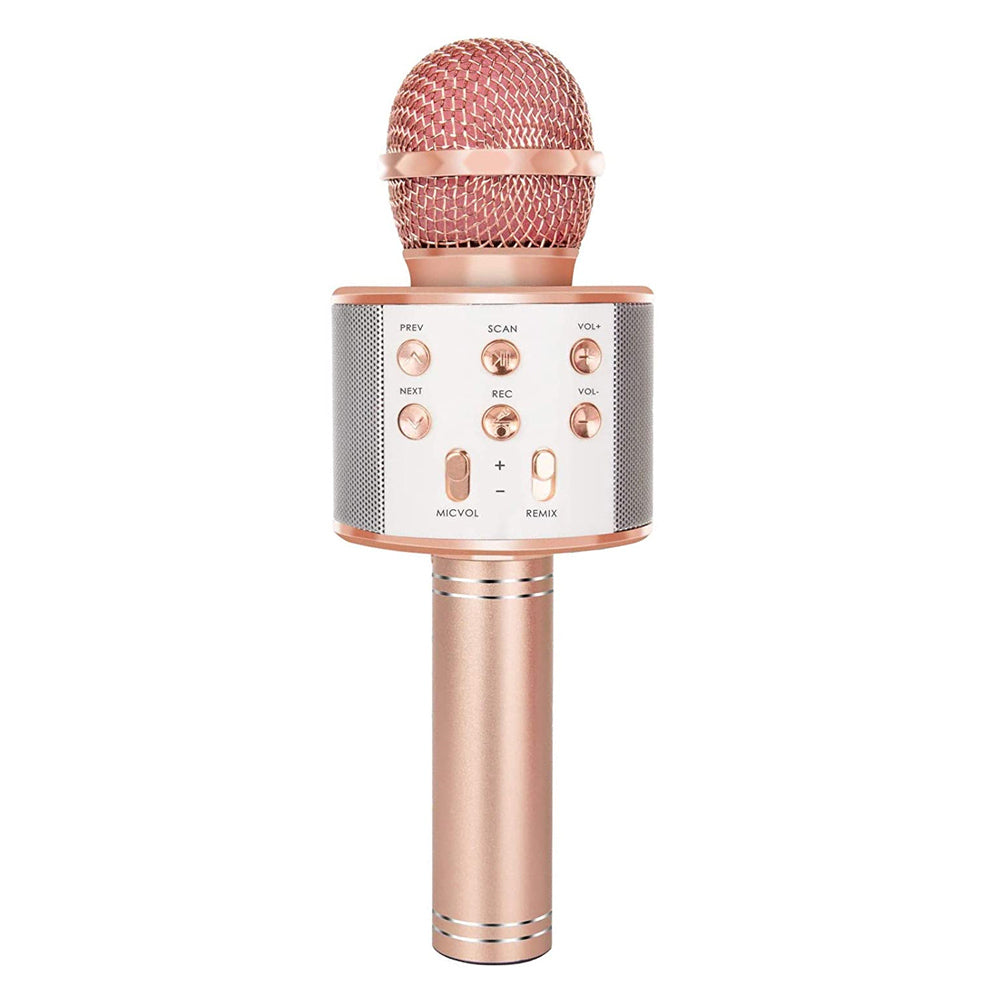Portable Wireless Karaoke Microphone Speaker - Befez