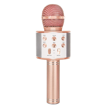 Portable Wireless Karaoke Microphone Speaker - Befez
