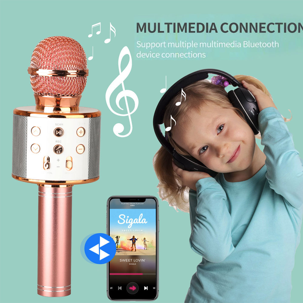 Portable Wireless Karaoke Microphone Speaker
