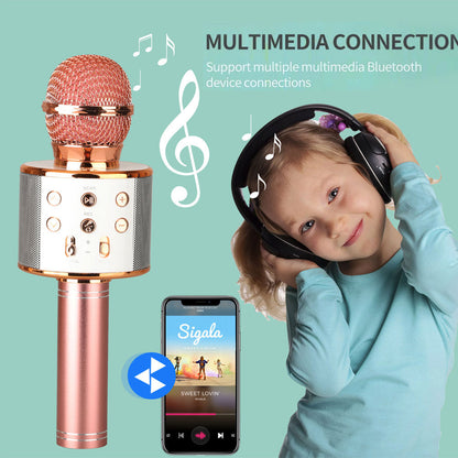 Portable Wireless Karaoke Microphone Speaker