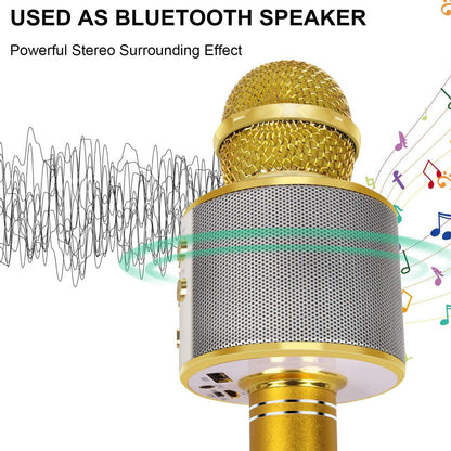 Portable Wireless Karaoke Microphone Speaker