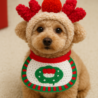 Fun Dog Christmas Costumes Befez