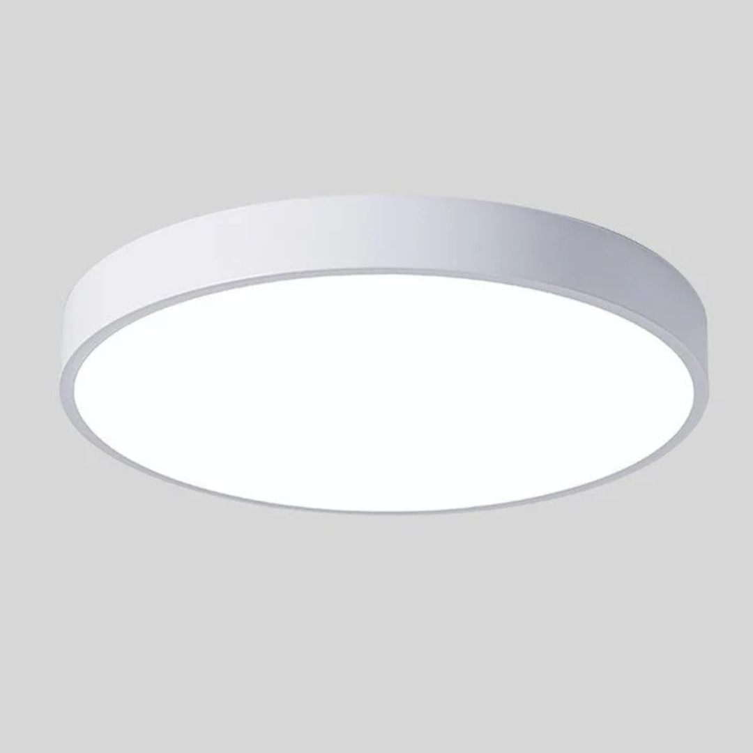 Modern Nordic LED Ceiling Light
