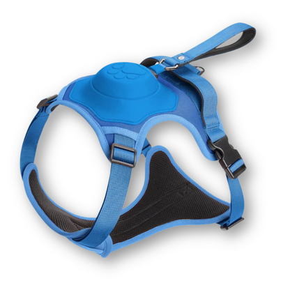Versatile 2-in-1 Dog Leash Harness Set