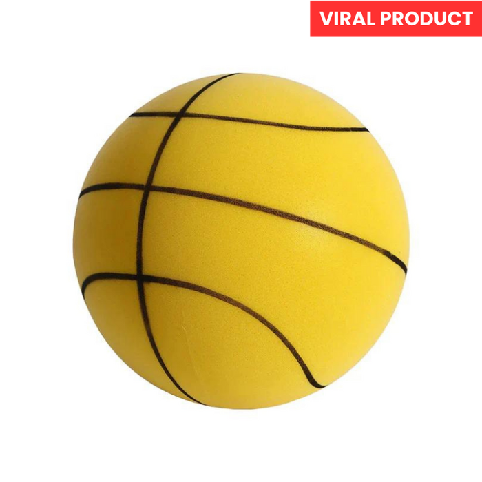 Quiet Indoor Outdoor Basketball Hoop