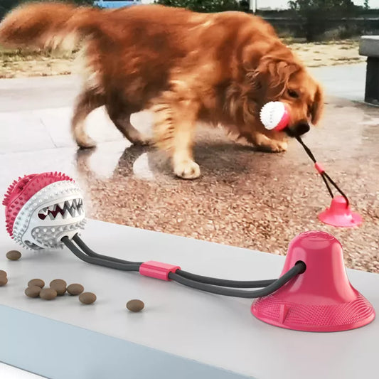 Tough Rubber Dog Toy - PowerPaw Befez - Befez
