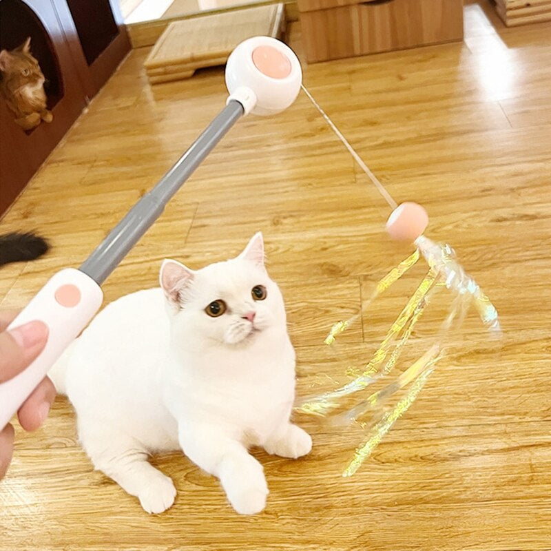 Fun Cat Wand Teaser Toy