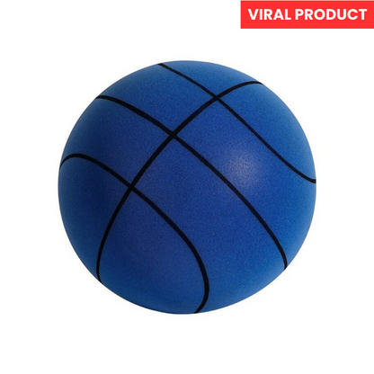 Quiet Indoor Outdoor Basketball Hoop