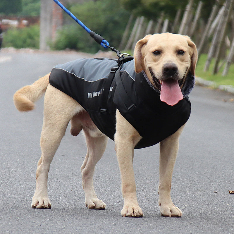 Waterproof Insulated Dog Coats - Befez