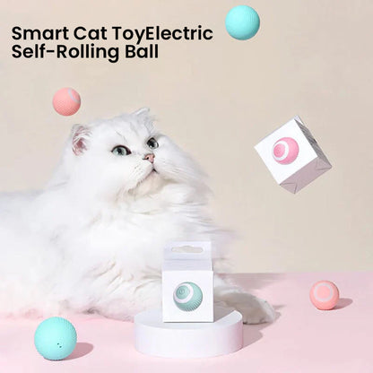Dual Action Feather Teaser Cat Toy