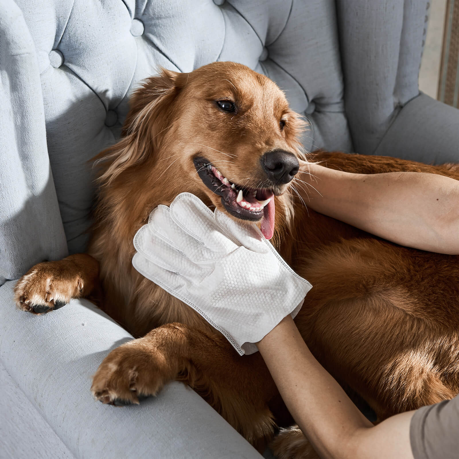 Pet Gentle Cleaning Wipes for Hands - Befez