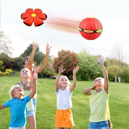 Fun Interactive Bouncy Ball Toy