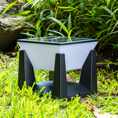 Eco Friendly Solar Powered Yard Light
