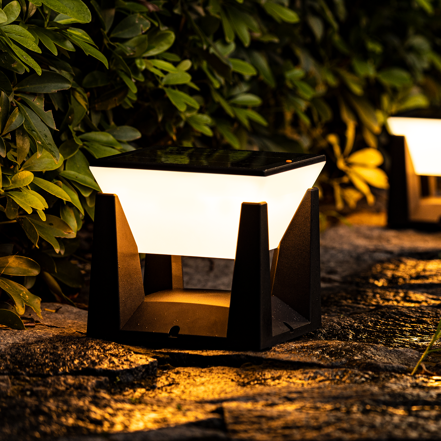 Eco Friendly Solar Powered Yard Light
