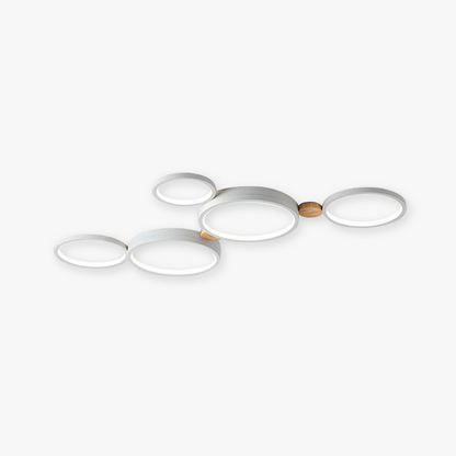 Stylish Modern Ceiling Lamp