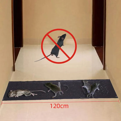 Easy Catch Mouse Trap