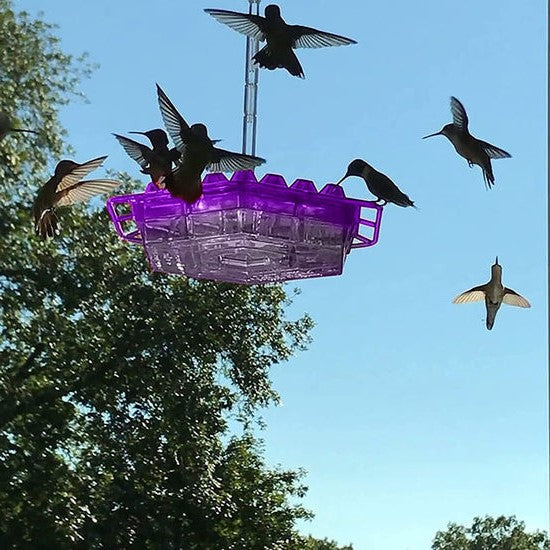 Outdoor Bird Feeder with 30 Ports, Ant Blocker, UV Protection