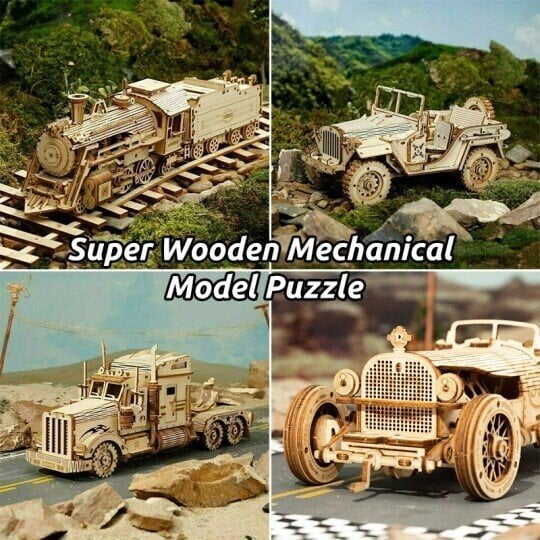 Challenging 3D Wooden Brain Teaser Puzzle