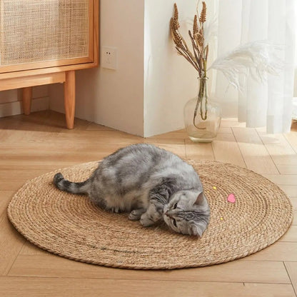 Durable Scratch Guard Cat Tower