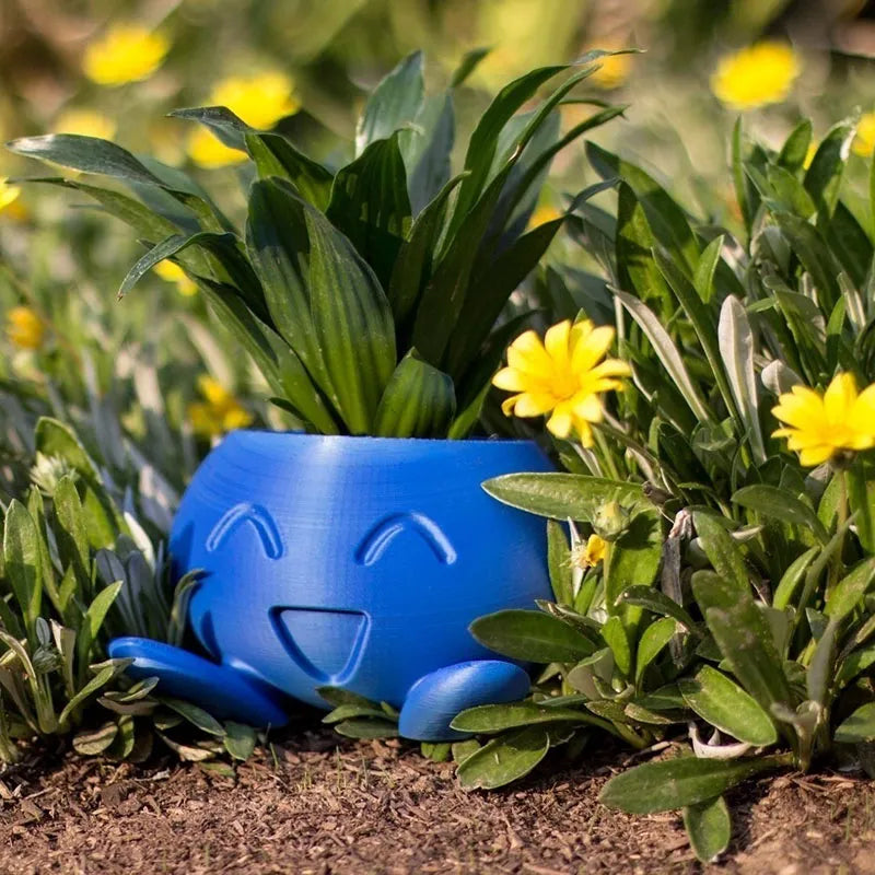 Colorful Planter Box for Happy Plants